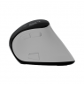 Natec Mouse | Euphonie Pro | Wireless | 2.4 GHz, Bluetooth | White