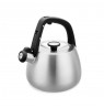 Kettle Maestro MR-1318 2,5 l Silver, Black