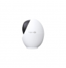 TP-LINK Tapo C260 Pan/Tilt AI Home Security Wi-Fi Camera | TP-LINK