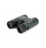 Binoculars Celestron Nature DX 10x32