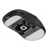 Gaming Mouse Endgame Gear XM2w 4k v2