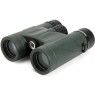 Celestron Nature DX 8x32 binocular BaK-4 Black, Green