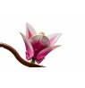 LEGO BOTANICALS 11510 Magnolia Branches