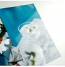 Kodak Ultra Premium Photo Paper 280g High Gloss 10 x 15 cm 60 Sheets