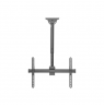DIGITUS Universal TV Ceiling Mount with Telescopic Height-Adjustment