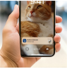 Philips Smart Feeder with Camera | PAW5320/02 5000 Series