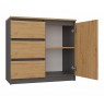 Topeshop 1D3S ANT/ART BA KPL chest of drawers