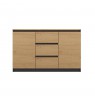 Topeshop 2D3S ANT/ART BA KPL chest of drawers