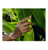 Ultrahuman | Ring Air | Bionic Gold | Size 6 | Smart Ring