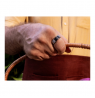 Ultrahuman | Ring Air | Aster Black | Size 9 | Smart Ring