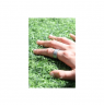 Ultrahuman | Ring Air | Raw Titanium | Size 6 | Smart Ring