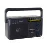 Tracer 47775 GTX100 Radio FM