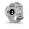 Garmin Forerunner 55 2.64 cm (1.04") MIP 42 mm Digital 208 x 208 pixels Black GPS (satellite)