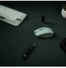 Asus MD200 MOUSE/GN/SILENT MD200 MOUSE/GN/SILENT