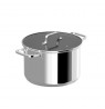 STOCKPOT HELIXWITH LID 24X15CM 6.6L