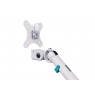 Digitus Dual design monitor mount, 2x 35", 2x 10 kg