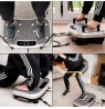Bodi-Tek Vibration Plate Exerciser Pro