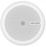 Hikvision mikrofonas DS-2FP2061