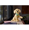 LEGO ICONS 11384 Golden Retriever Puppy