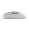 MD102 MOUSE/WH