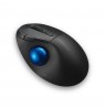 Kensington Pro Fit Ergo TB450 Trackball