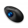 Kensington Pro Fit Ergo TB450 Trackball