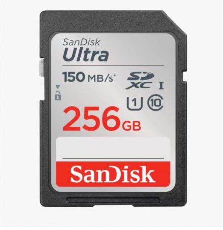 SANDISK MEMORY CARD SDXC 256GB UHS-I/SDSDUNC-256G-GN6IN