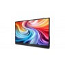 Acer PM161QB1b   15,6"  39,6cm 16:9      1920x1080