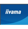 IIYAMA 68.6cm (27")   X2793QSU-B1 16:9 HDMI+DP+2xUSB IPS