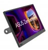 ASUS ZenScreen MB169CK computer monitor 39.6 cm (15.6") 1920 x 1080 pixels Full HD LCD Black
