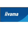 iiyama ProLite X2491HS-B1 computer monitor 60.5 cm (23.8") 1920 x 1080 pixels Full HD LCD Black