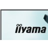 IIYAMA 68.6cm (27")   GB2771HSU-W1  16:9  2xHDMI+DP+USB-C