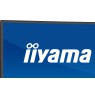 IIYAMA 113cm  (44.5") XCB4594DQSU-B1 32:9 2xHDMI+DP+2xUSB-C