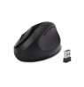 Kensington Pro Fit Ergo Wireless Mouse—Black