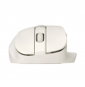 Asus Mouse | MD105 | Wireless | Bluetooth, 2.4GHz | Milky White