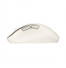 Asus Mouse | MD105 | Wireless | Bluetooth, 2.4GHz | Milky White