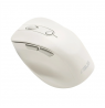Asus Mouse | MD105 | Wireless | Bluetooth, 2.4GHz | Milky White