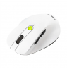 Asus Mouse | MD105 | Wireless | Bluetooth, 2.4GHz | Volt Green