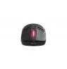 CHERRY XTRFY M42 RGB mouse Gaming Ambidextrous RF Wireless + USB Type-C Optical 19000 DPI