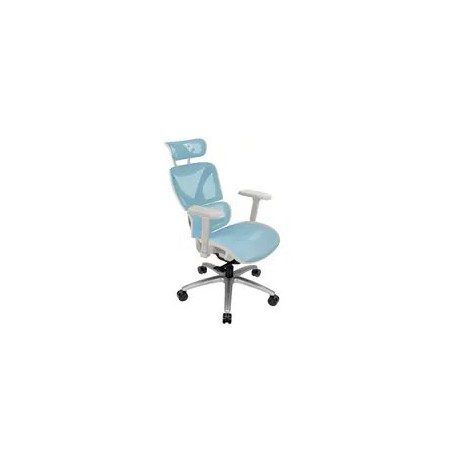 ThunderX3 XTC Ergonomic Office Chair - white and blue