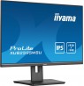 IIYAMA 63.4cm (25")   XUB2595WSU-B5 16:10 HDMI+DP+USB IPS retail