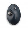 Kensington Pro Fit Ergo TB550 Trackball