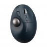 Kensington Pro Fit Ergo TB550 Trackball