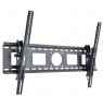 Techly ICA-PLB 622 2.54 m (100") Black