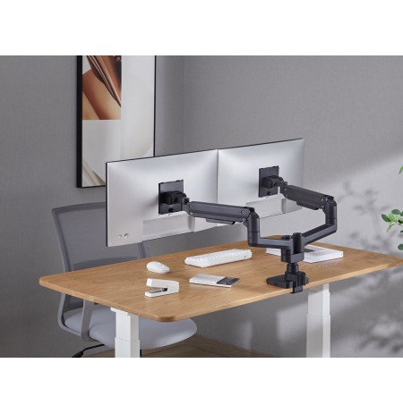 Desktop Mount 17-35"/2TFT 20Kg retail