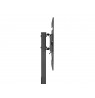 Mount for floor stand Equip 37"-75"/1TFT