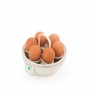 Salter EK6692CRMVDE Retrol Egg Cooker