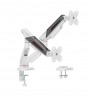 White Shark KHUFU-II GMS-3211 / 2 Monitor Desktop Mount
