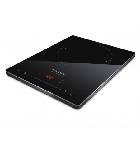 Taurus Darkfire freestanding induction hob
