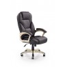 EXECUTIVE CHAIR DESMOND 70X67X119CM